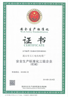 安全生產(chǎn)標(biāo)準(zhǔn)化三級證書